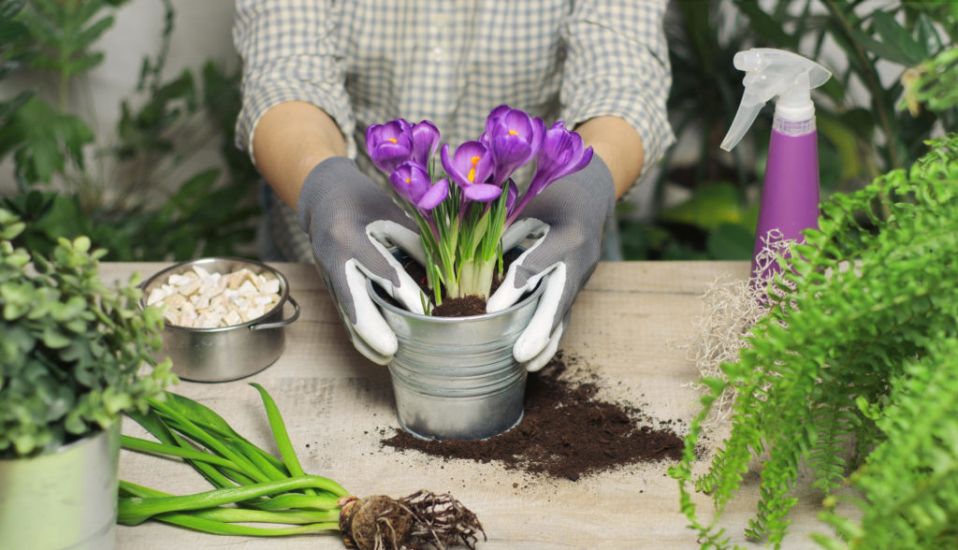 6 Jobs You Need To Do In The Garden This Spring, According To Experts