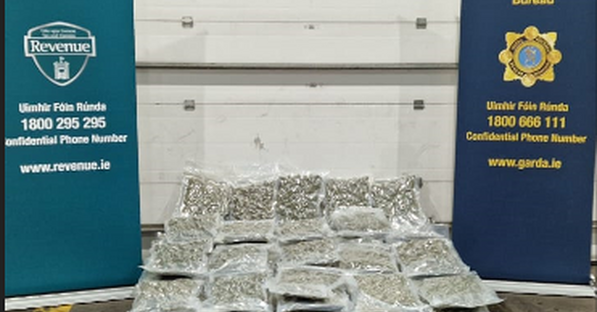 Man arrested as gardaí seize €1.1 million worth of cannabis in Kildare