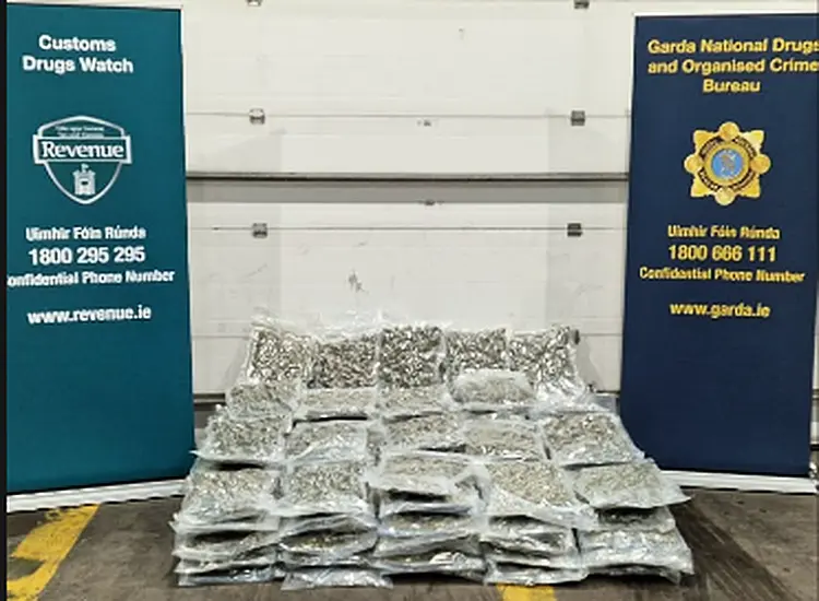 Man Arrested As Gardaí Seize €1.1 Million Worth Of Cannabis In Kildare