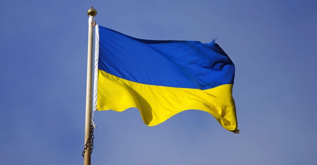 „Паника“ в украинската общност в Ирландия заради плановете за намаляване на плащанията
