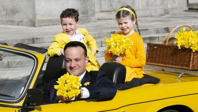 Irish Cancer Society Appeal For Donations Of Daffodil Day