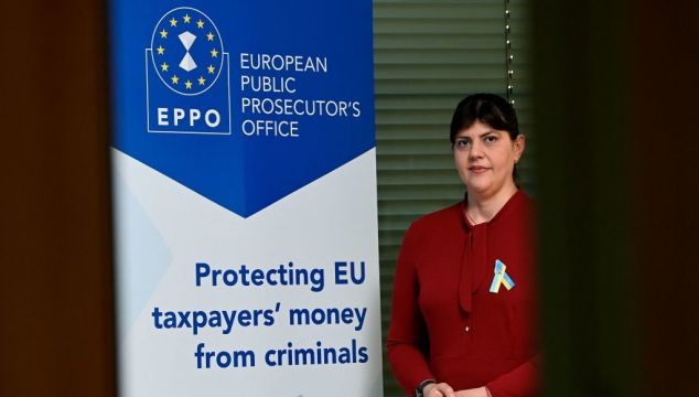 Risk Of Eu Crime Gangs Moving Operations To Ireland, Mep Warns