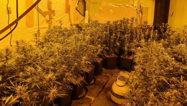 Two Men Charged After Growhouse Discovered In Co Roscommon