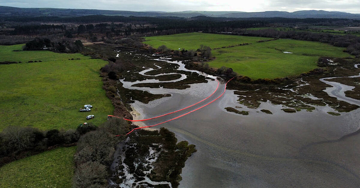 Up to 15 birds with oil on feathers spotted since Poole Harbour oil leak | BreakingNews.ie Up to 15 birds with oil on feathers spotted since Poole Harbour oil leak | BreakingNews.ie