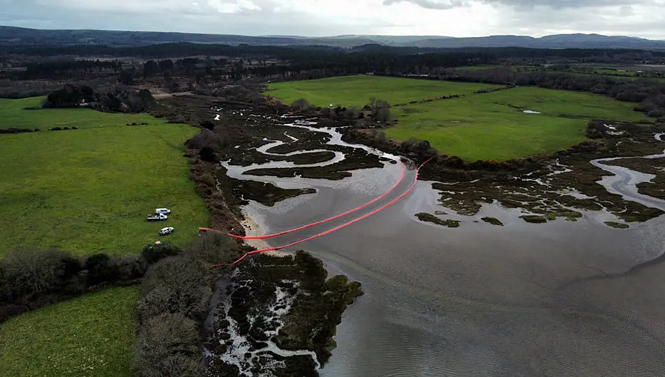 Up To 15 Birds With Oil On Feathers Spotted Since Poole Harbour Oil Leak