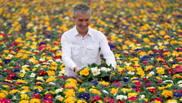 Tesco To Go Peat-Free On All Uk Bedding Plants To Help Environment