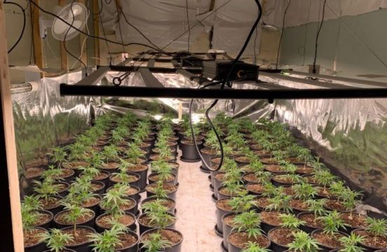 Two Men Arrested As Gardaí Close Down Growhouse With Cannabis Worth €432,000