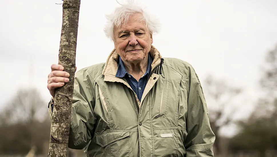 Sir David Attenborough Warns We Have A Few Short Years Left To Fix Natural World