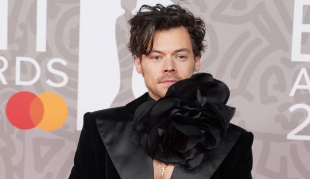 Harry Styles Chose ‘Darker’ Roles Over Part In Little Mermaid Remake – Director