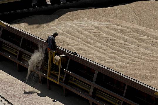 Russia Warns West To Remove Obstacles To Grain Exports