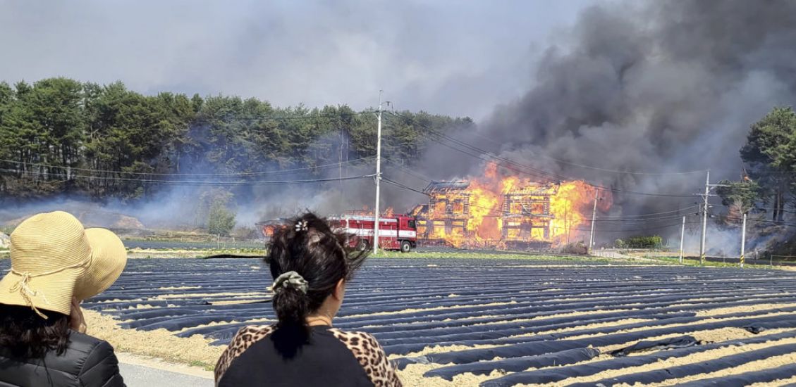 One Dead And Hundreds Evacuated After Wildfire In South Korean City