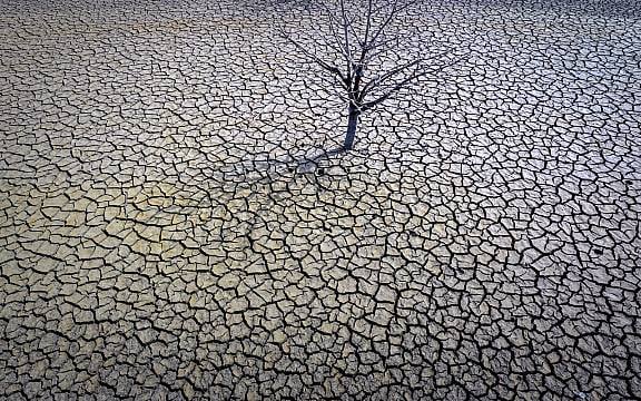 Drought Will Cause Crop Failures In Spain, Farmers Warn