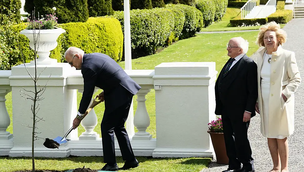 Biden Expresses Hope His Great-Grandchildren Can Climb Tree He Planted In Dublin