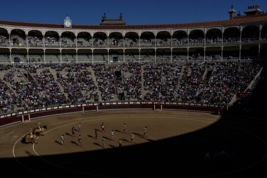 Young People Drive Bullfighting’s Resurrection In Spain
