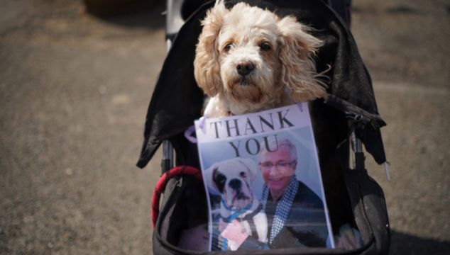 Paul O’grady’s Love Of Dogs Celebrated With Canine Welcoming Party At Funeral