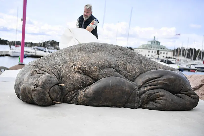 Life-Size Sculpture Of Euthanised Walrus Unveiled In Norway