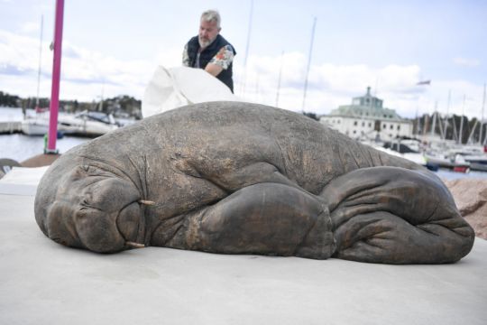 Life-Size Sculpture Of Euthanised Walrus Unveiled In Norway