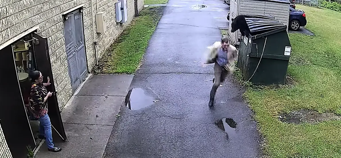 ‘A Complete Surprise’: Bear Scares Principal By Jumping Out Of Bin At Us School