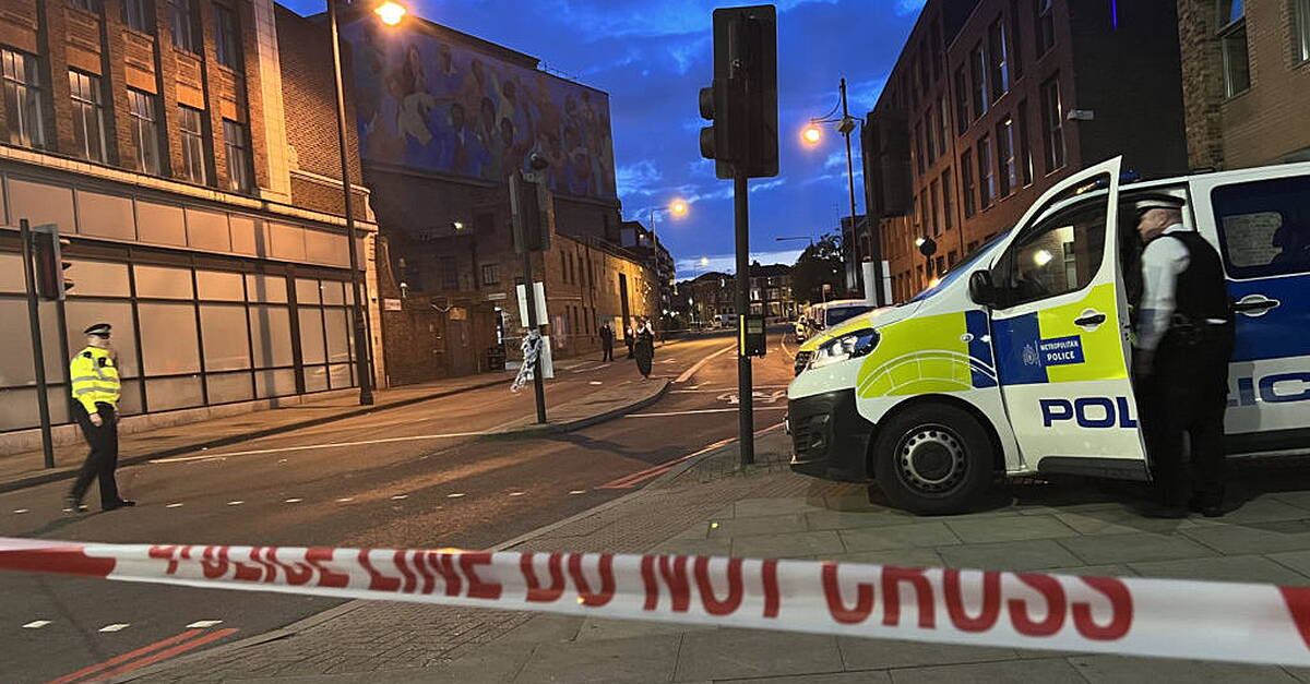 Man charged with murder after woman stabbed to death by stranger in London