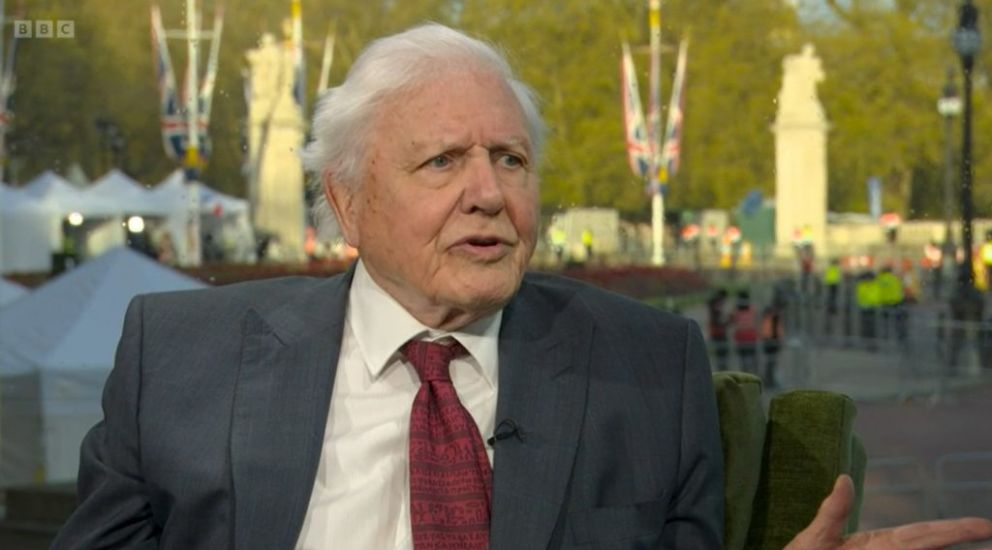 David Attenborough Believes Charles Will Give Conservation ‘Full Backing’