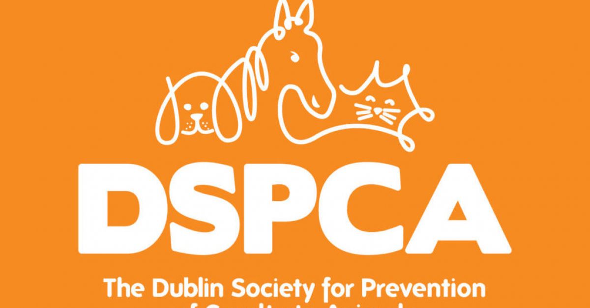 DSPCA encourages people to report abandoned animals