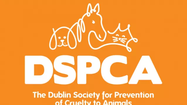 Dspca Encourages People To Report Abandoned Animals