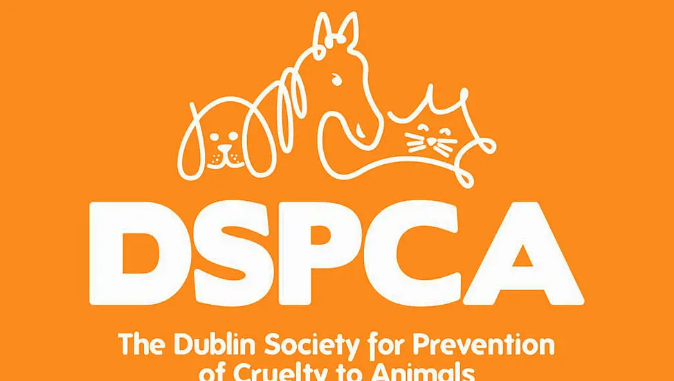 Dspca Encourages People To Report Abandoned Animals