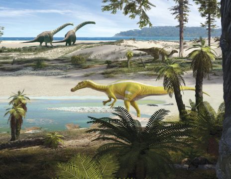 Fossil Fragments Shed Light On A New Dinosaur Species In Spain