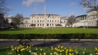 Teenager Arrested Over Leinster House &#039;Trespass&#039;