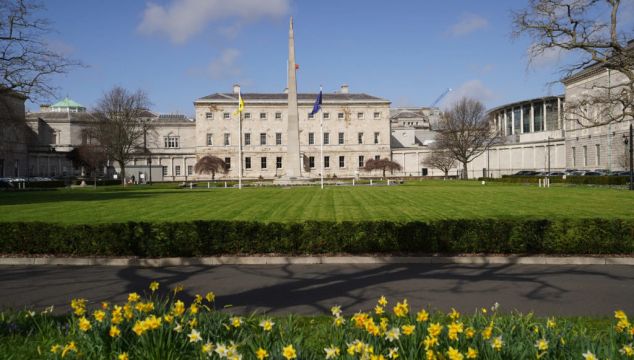 Teenager Arrested Over Leinster House 'Trespass'