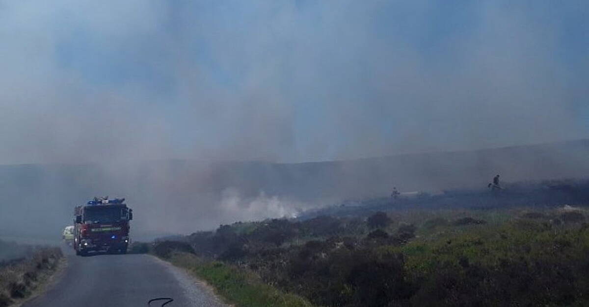 Firefighters in Wicklow put out major blaze - Vimarsana News