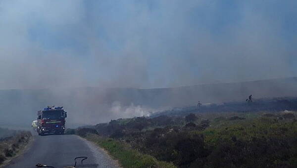 Waterford News & Star — Firefighters in Wicklow put out major blaze - Vimarsana News