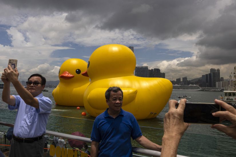 Giant Inflatable Ducks Make Waves In Hong Kong
