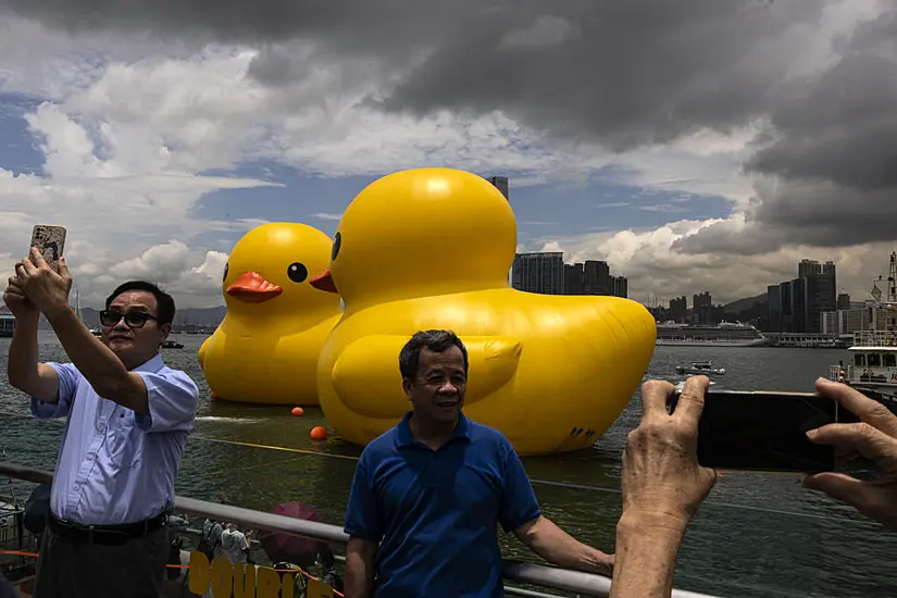 Giant Inflatable Ducks Make Waves In Hong Kong