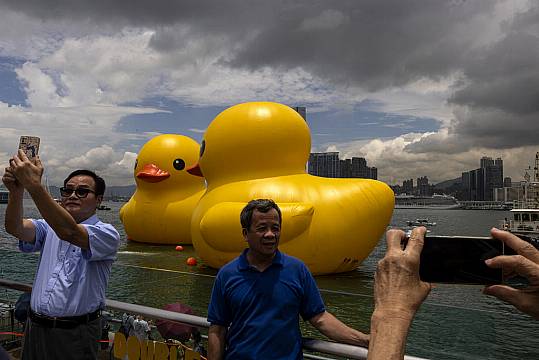 Giant Inflatable Ducks Make Waves In Hong Kong