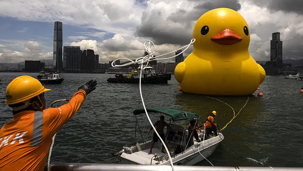 One Of Two Giant Ducks In Hong Kong’s Victoria Harbour Deflates