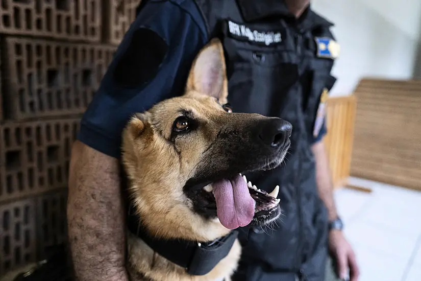 Army Dog Badly Injured In Ukraine Begins New Role With Budapest Police