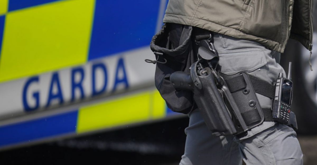 Питбул териер е прострелян от гарда, след като напада хора в Корк