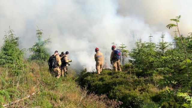 Gorse Wildfires In Co Antrim Downgraded From Major Incident After Three-Day Blaze