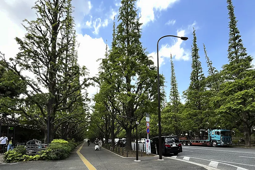 Haruki Murakami Calls For Park And Stadium That Inspired His Writing To Be Saved