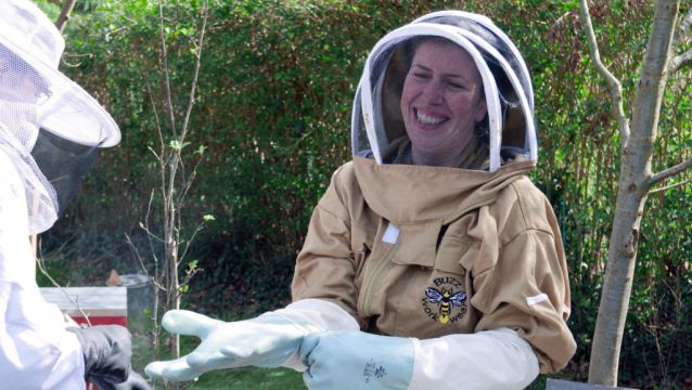 Beekeeping Has Gone Viral – But How Easy Is It?