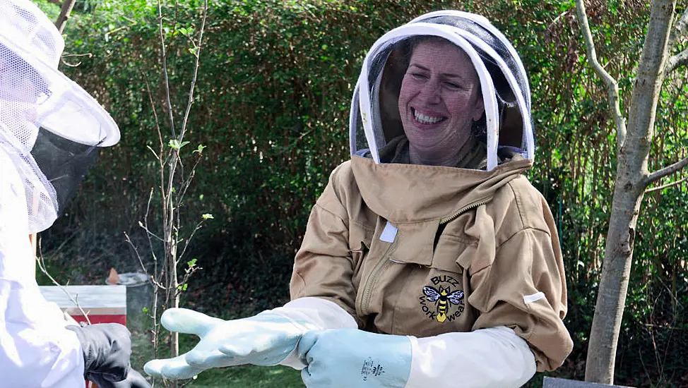 Beekeeping Has Gone Viral – But How Easy Is It?