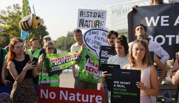 All Irish Meps Back Major Plan To Protect Nature And Fight Climate Change
