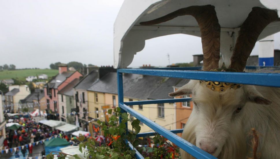Goat To Spend Less Time On High Stand At Puck Fair After Welfare Concerns