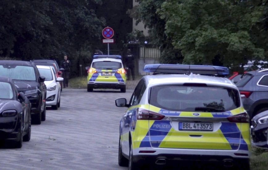 Authorities Call Off Berlin Lioness Alert, Saying ‘No Evidence Of Any Predator’