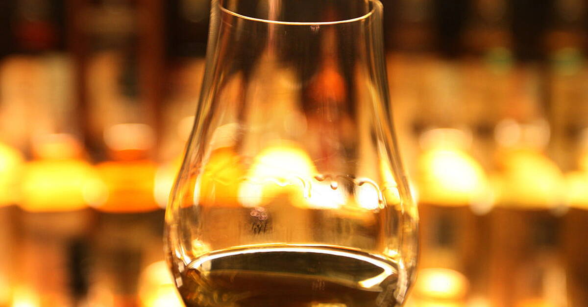 Scientists to trial sustainably grown barley for future whisky production - Vimarsana News