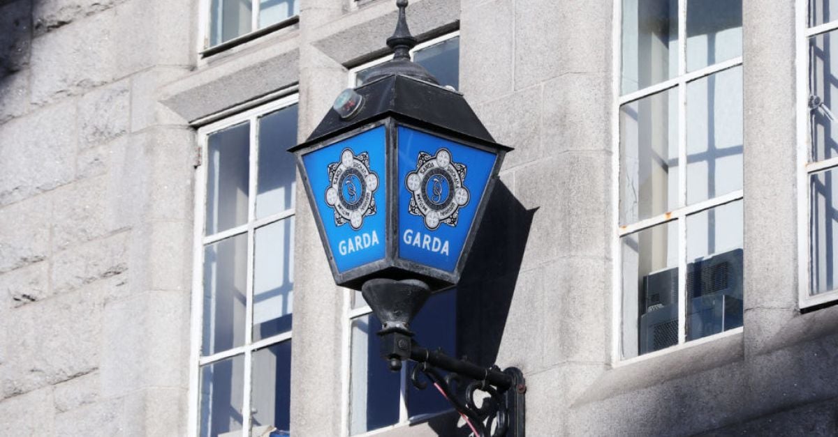 Man dies in hsopital after serious assault in Dublin
