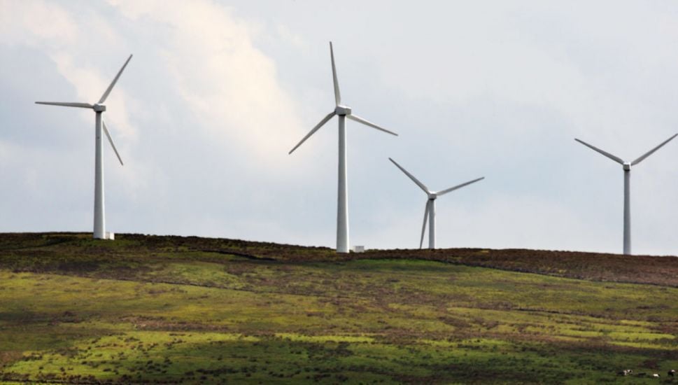Wind Farm Development In Cork Refused Planning To Protect Whooper Swan Habitat