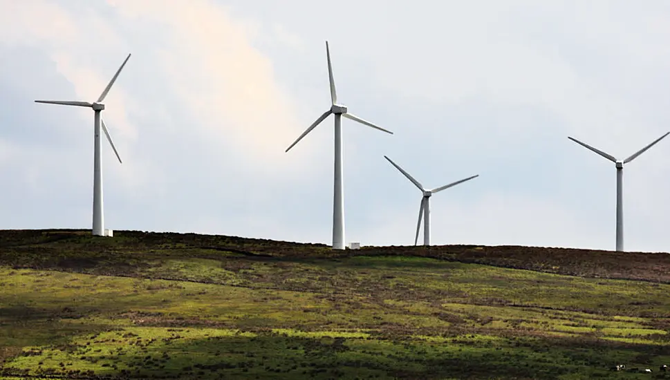 Wind Farm Development In Cork Refused Planning To Protect Whooper Swan Habitat