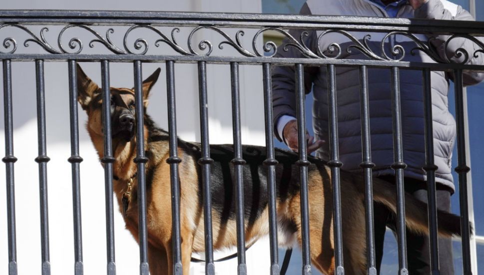 Biden's Dog 'Bit Secret Service Officers 10 Times In Four Months'